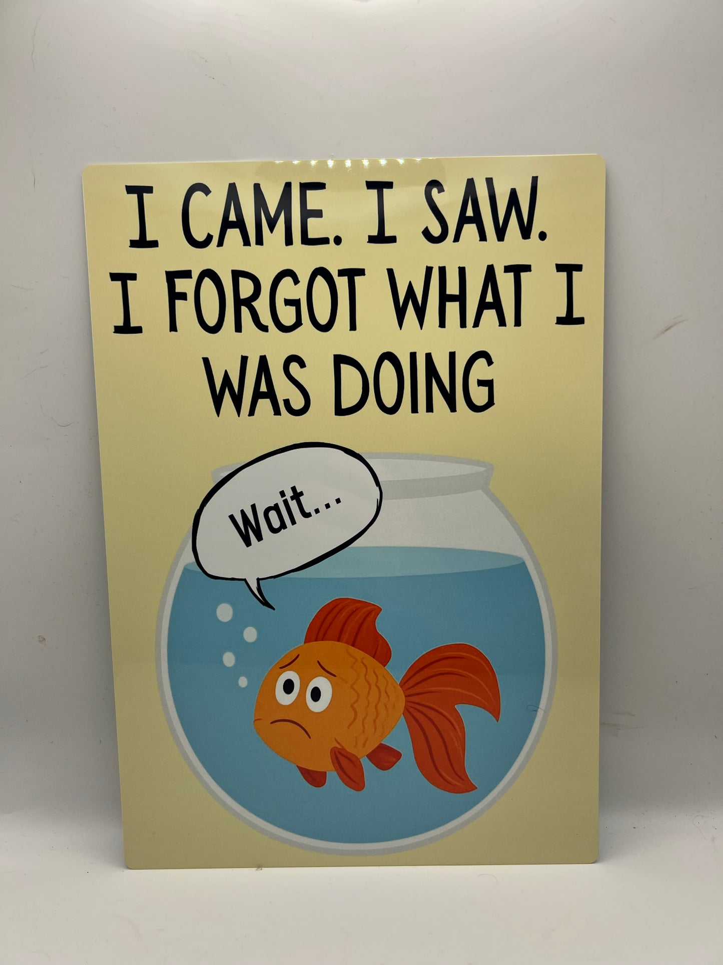 I Came. I Saw. I Forgot What I Was Doing - Aluminium sign