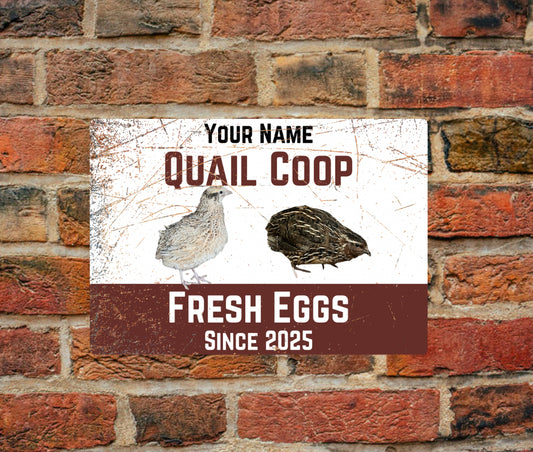 Custom Aluminium Sign - Personalised Quail Coop Sign | A4 mounted on brick wall, featuring quail illustrations and 'Fresh Eggs Since 2025' text.