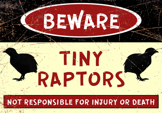 Beware - Tiny Raptors - Just quail - A4 Aluminium sign featuring black quail silhouettes and bold red warning text for farm or stable safety use.