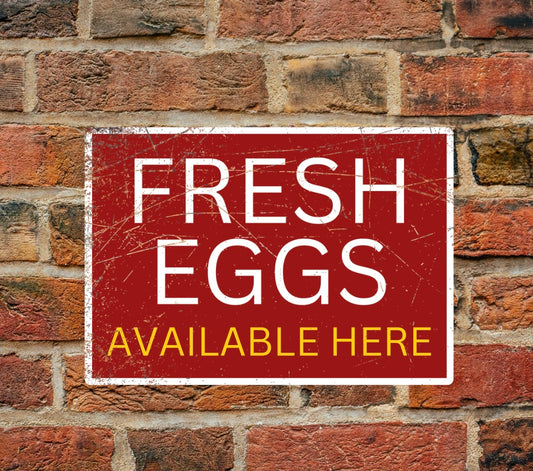 Weather-resistant fresh eggs aluminium sign mounted on a brick wall. Bold white and yellow text promotes egg availability for farm businesses.