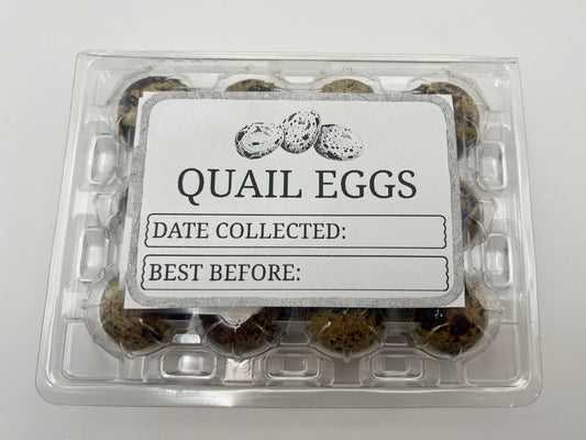 Quail Egg Boxes with Printed Labels | Thermal Printed Egg Cartons | Pack of 10–150