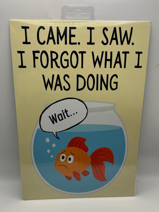 I Came. I Saw. I Forgot What I Was Doing Aluminium Sign