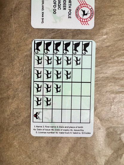 Santa’s Dropped Sleigh License