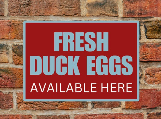 Weather-Resistant Fresh Duck Eggs Aluminium Sign for Farms