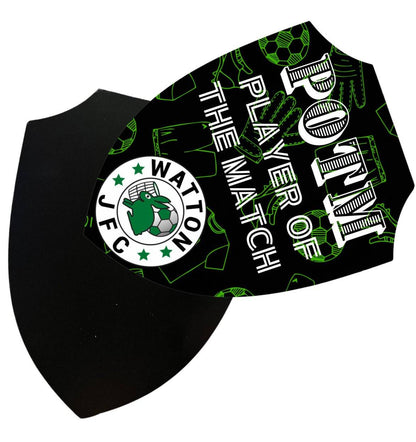 Player of the Match Shield (15mm Thickness) - ZM Sports